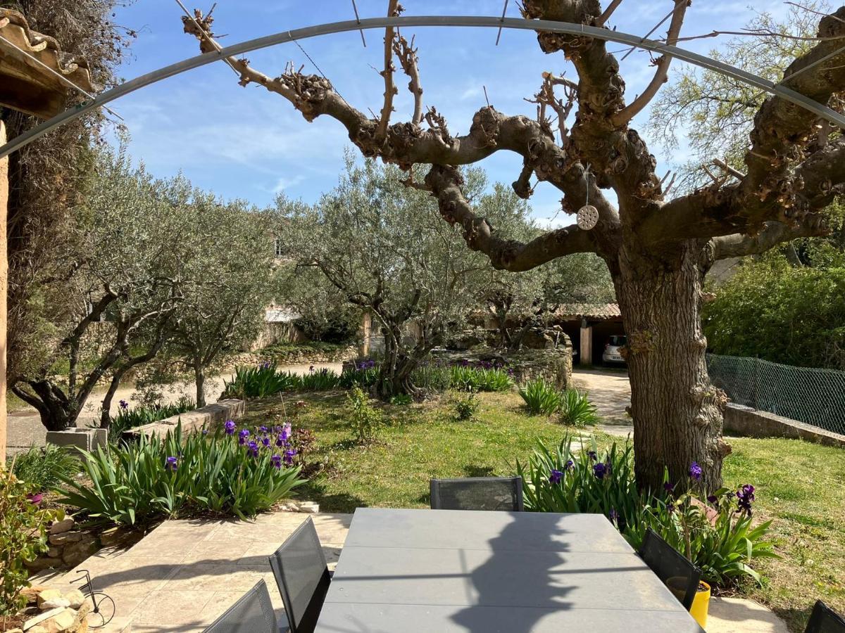 Chambre Avec Petit-Dejeuner En Provence Luberon La Tour-dʼAigues Kültér fotó